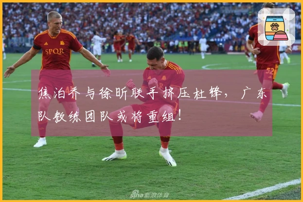 焦泊乔与徐昕联手挤压杜锋，广东队教练团队或将重组！