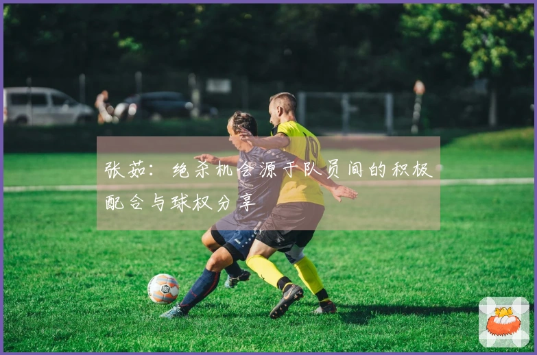 张茹：绝杀机会源于队员间的积极配合与球权分享
