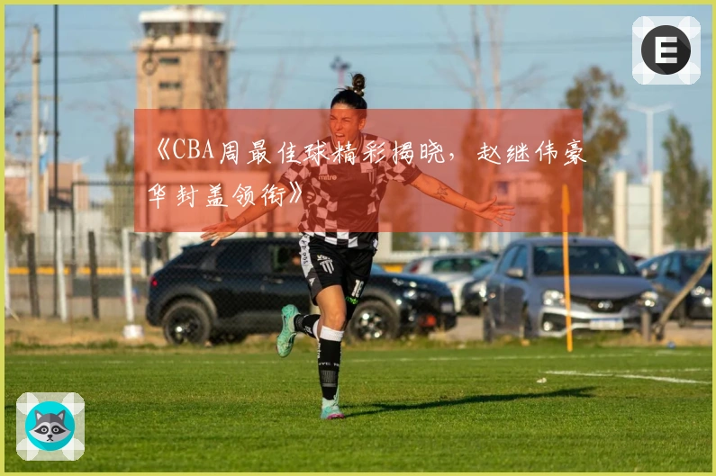 《CBA周最佳球精彩揭晓，赵继伟豪华封盖领衔》